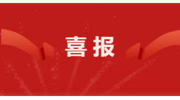 四连击！博世科旗下子公司再获多项省级荣誉