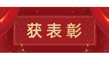 博世科荣获“2020年百色市新冠肺炎后备应急医院项目建设工作先进集体”